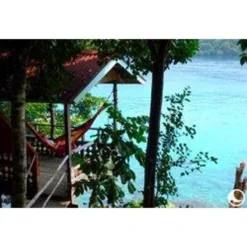 TICKET TO THE MOON Hamac TTTM Compact Jaune Foncé -Tente Magasin hamac tttm compact jaune fonce 2