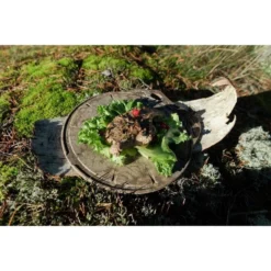 Kupilka Kaarna M - Planche à Découper-Original (Marron) -Tente Magasin kupilka kaarna m planche a decouper original marron 2